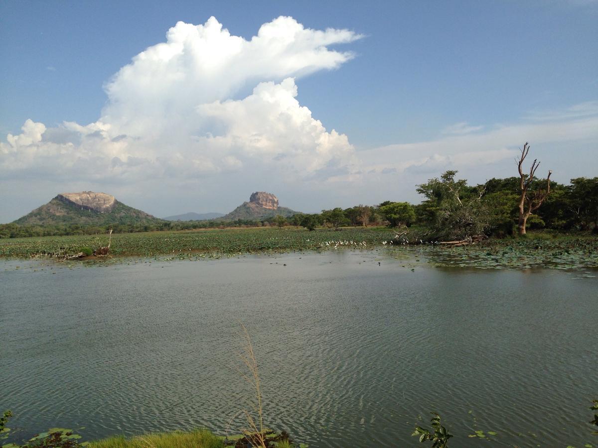 Mowgli Cottage Sigiriya Buitenkant foto